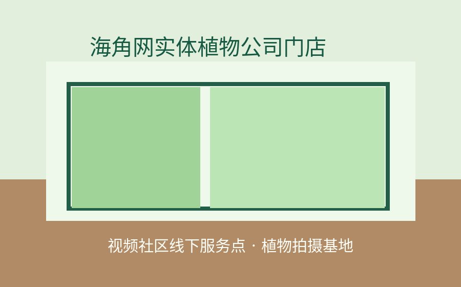 海角网
