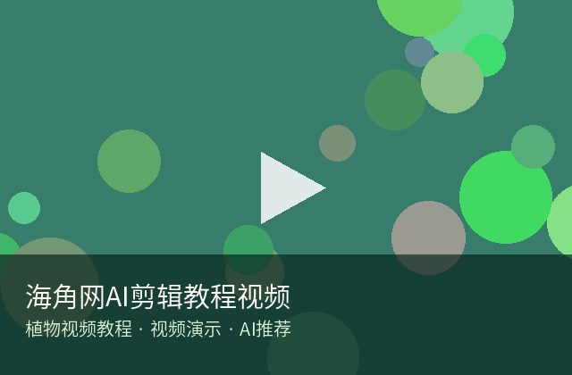 海角网