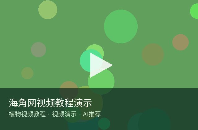 海角网